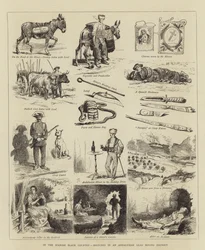 In the Spanish Black Country, Sketches in an Andalusian Lead Mining District